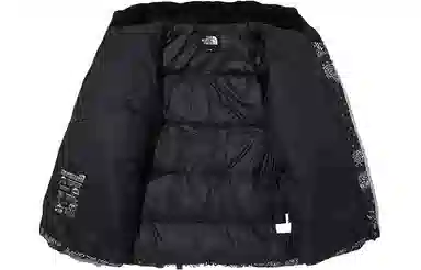 The North Face Paisley Zip-Up Down Jacket