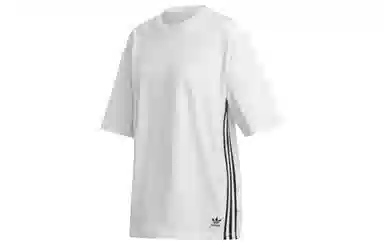 adidas originals Graphic Tee T