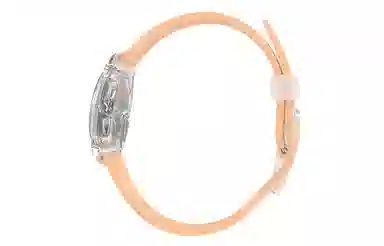 SWATCH ORIGINALS 30 25mm LK395