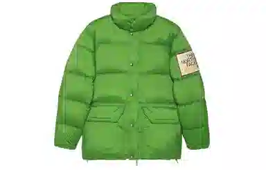 GUCCI x THE NORTH FACE