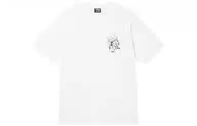Stussy SS22 T