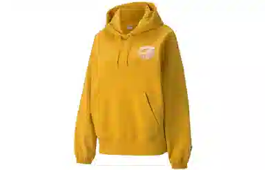 Puma Downtown Graphic Hoodie