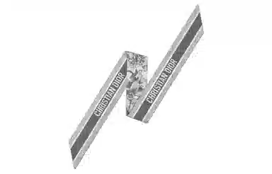 DIOR Twill Printed Silk Scarf Ivory Gray