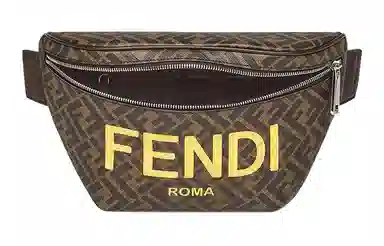 Fendi Roma Brown