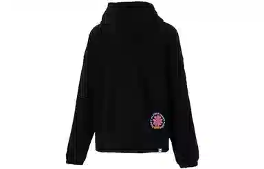 Puma Downtown Graphic Hoodie