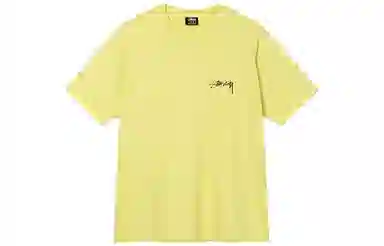 Stussy logoT