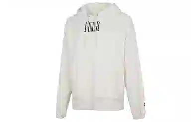 Puma Downtown Graphic Hoodie