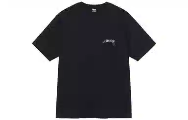 Stussy logoT