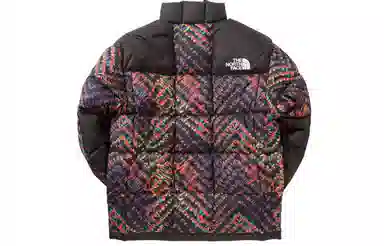 The North Face 1990 Series