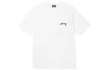 Stussy logoT