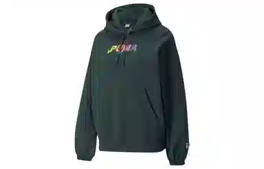 Puma Downtown Graphic Hoodie