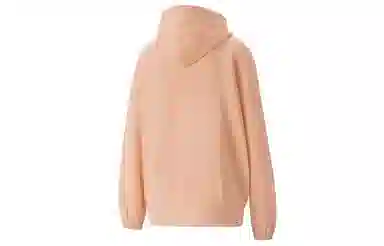 Puma Downtown Graphic Hoodie