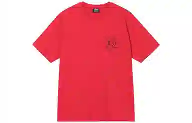 Stussy SS22 T