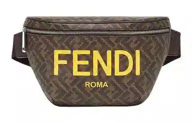 Fendi Roma Brown