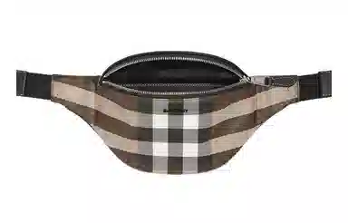 Burberry Mini Brown Bag