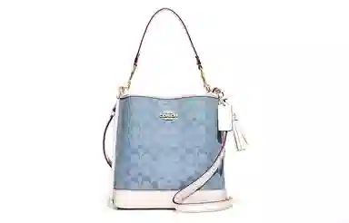 COACH Mollie 22 Bucket Bag Blue Signature