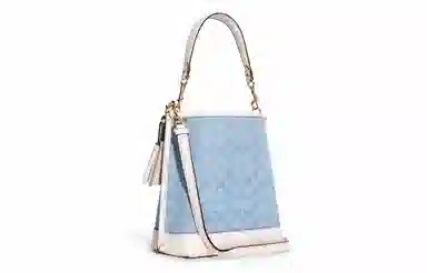 COACH Mollie 22 Bucket Bag Blue Signature