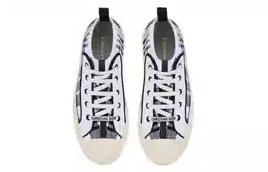 DIOR Walk'n'Dior