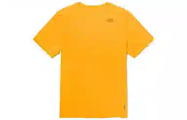 THE NORTH FACE SS22 LogoT