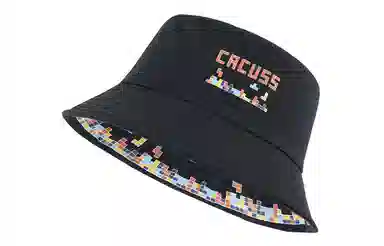 CACUSS junior