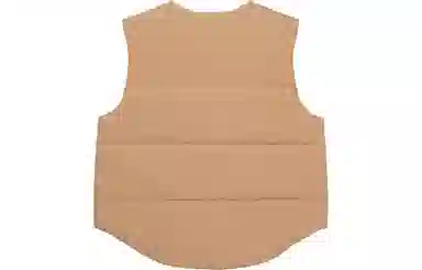 Supreme x WTAPS FW21 Tactical Down Vest