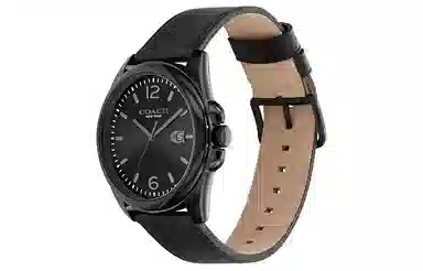 COACHGREYSON 41mm 30 14602588