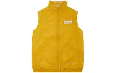 Dickies logo