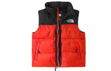THE NORTH FACE 1996 Icon Nuptse