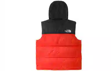 THE NORTH FACE 1996 Icon Nuptse