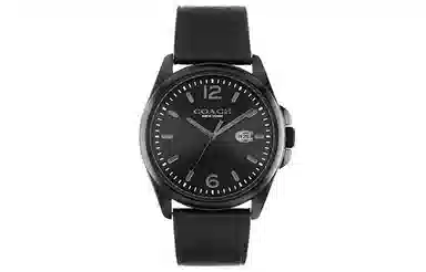 COACHGREYSON 41mm 30 14602588
