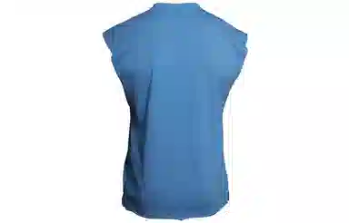 BLUESFLY