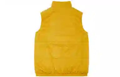 Dickies logo