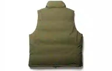 DAIWA PIER39 Gore-tex Infinium Field Down Vest