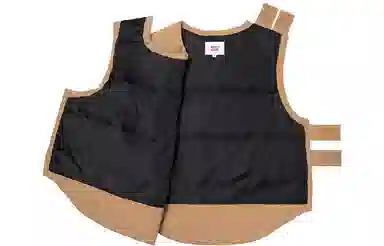 Supreme x WTAPS FW21 Tactical Down Vest