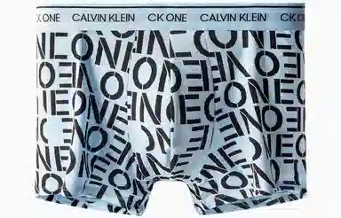 CKCalvin Klein Logo 1