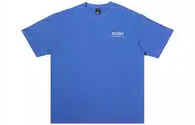 BLUESFLY T