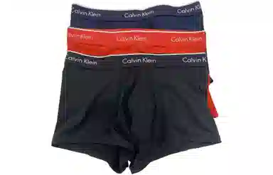 CKCalvin Klein Logo 3