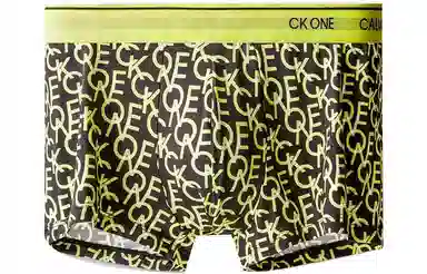 CKCalvin Klein Logo 1