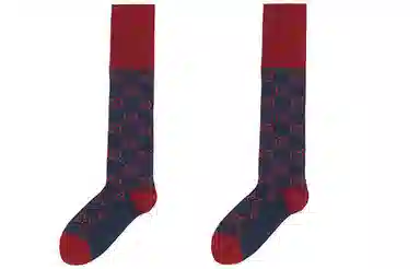 GUCCI FW22 Colorblock Socks Navy Blue