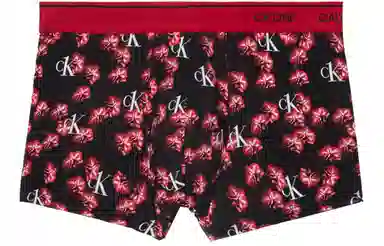 CKCalvin Klein Logo 1