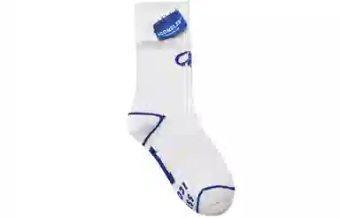 ICONS Lab x iconslab 4