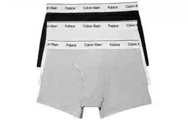 PALACE x Calvin Klein 3