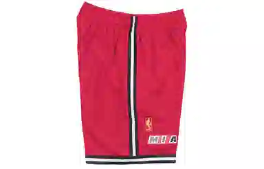 Mitchell Ness SW 96-97