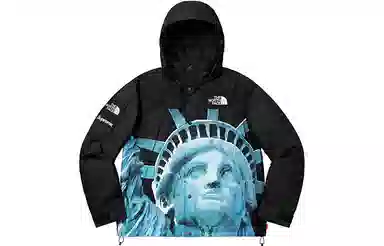 Supreme x The North Face Statue of Liberty Mountain Jacket Black