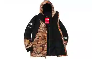 Supreme x The North Face FW16 Leaf Print Jacket Black