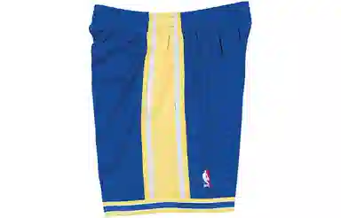 Mitchell Ness SW 95-96