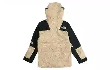 THE NORTH FACE 1994 Seasonal Retro Mountain Light