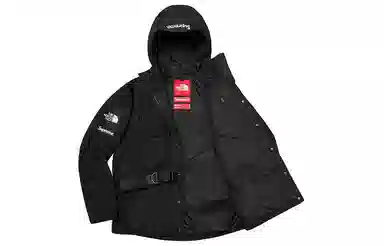 Supreme x The North Face SS20 Vest Jacket Black