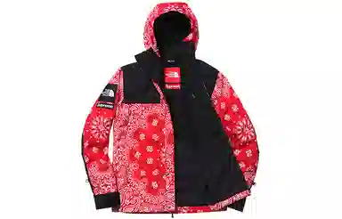 Supreme x The North Face Red Jacket