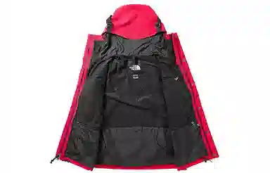 THE NORTH FACE 1990 Mountain Jacket